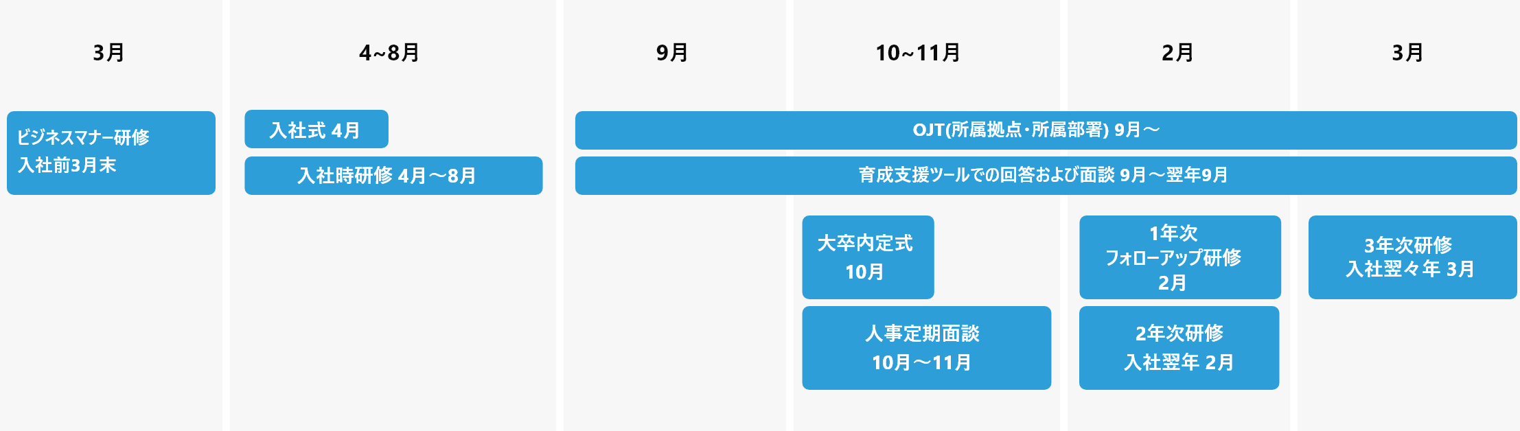 1年間の研修スケジュール